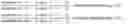 Fig. 02 - Multi-step sequence alignment