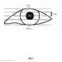 Fig. 05 - Determining eye openness with an eye tracking device