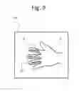 Fig. 10 - Biometric authentication device and system