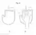 Fig. 17 - Biometric authentication device and system