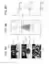 Fig. 09 - Object approach detection device and object approach detection method