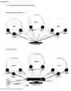 Fig. 40 - Utilizing cross-network identity data for customized content