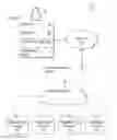 Fig. 01 - VALUE OF CONTENT RELEVANCE THROUGH SEARCH ENGINE OPTIMIZATION