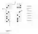Fig. 18 - Enhanced method of presenting multiple casino video games