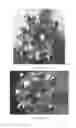 Fig. 09 - System, method and computer program product for security analysis of jewelry items