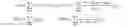 Fig. 05 - Determining a biopsy position
