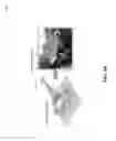 Fig. 03 - Machine learning-based image recognition of weather damage