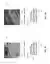 Fig. 11 - Machine learning-based image recognition of weather damage