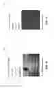 Fig. 12 - Machine learning-based image recognition of weather damage