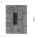 Fig. 13 - Machine learning-based image recognition of weather damage