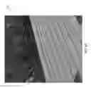 Fig. 15 - Machine learning-based image recognition of weather damage