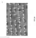 Fig. 16 - Machine learning-based image recognition of weather damage