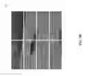 Fig. 19 - Machine learning-based image recognition of weather damage