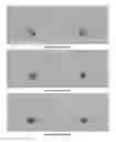 Fig. 05 - PROCESS, SYSTEM AND APPARATUS FOR MACHINE COLOUR CHARACTERISATION OF DIGITAL MEDIA