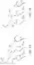 Fig. 08 - Beautifying freeform drawings using transformation adjustments