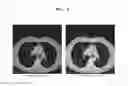 Fig. 08 - METHOD AND APPARATUS FOR CONTROLLING 3D MEDICAL IMAGE