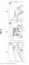 Fig. 06 - Information processing apparatus, information processing method, and program