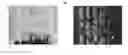 Fig. 01 - Systems and methods for principled bias reduction in production speech models