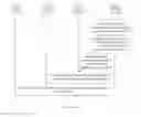 Fig. 13 - Communication method, server, and device