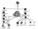 Fig. 01 - Methods for using artificial neural network analysis on flow cytometry data for cancer diagnosis