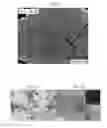 Fig. 02 - Nanocrystal film-coated substrate, manufacturing method of same, and manufacturing method of barium zirconate titanate nanocrystal
