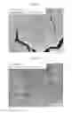 Fig. 04 - Nanocrystal film-coated substrate, manufacturing method of same, and manufacturing method of barium zirconate titanate nanocrystal