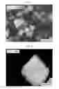 Fig. 05 - Nanocrystal film-coated substrate, manufacturing method of same, and manufacturing method of barium zirconate titanate nanocrystal