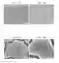 Fig. 08 - Nanocrystal film-coated substrate, manufacturing method of same, and manufacturing method of barium zirconate titanate nanocrystal