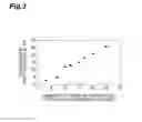 Fig. 04 - Microchannel plate and electron multiplier