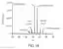Fig. 22 - Atmospheric-pressure ionization and fragmentation of molecules for structural elucidation