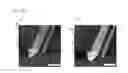 Fig. 09 - Functionalized graphene structure and method for manufacturing the same