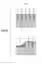 Fig. 09 - Semiconductor manufacturing method and plasma processing apparatus