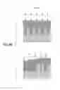 Fig. 10 - Semiconductor manufacturing method and plasma processing apparatus