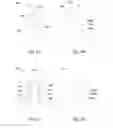 Fig. 05 - FinFET doping methods and structures thereof