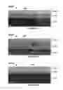 Fig. 19 - Method for ultra-shallow etching using neutral beam processing based on gas cluster ion beam technology