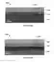 Fig. 24 - Method for ultra-shallow etching using neutral beam processing based on gas cluster ion beam technology