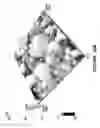 Fig. 31 - Method for ultra-shallow etching using neutral beam processing based on gas cluster ion beam technology