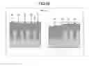 Fig. 09 - Film deposition method and plasma processing apparatus