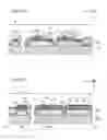 Fig. 31 - Method of manufacturing light emitting device