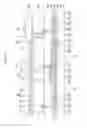 Fig. 06 - Organic light-emitting diode display