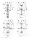 Fig. 03 - Body contact layouts for semiconductor structures
