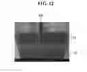 Fig. 11 - Compound semiconductor solar cell and method of manufacturing the same