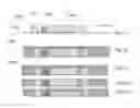 Fig. 07 - Wafer level packaging, optical detection sensor and method of forming same
