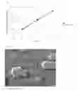 Fig. 08 - LIGHT EMITTING DEVICE