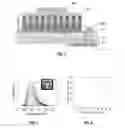 Fig. 04 - Integration of III-nitride nanowire on transparent conductive substrates for optoelectronic and electronic devices