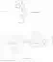 Fig. 43 - Organometallic complex, light-emitting element, light-emitting device, electronic device, and lighting device