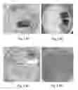 Fig. 06 - Solar cells, structures including organometallic halide perovskite monocrystalline films, and methods of preparation thereof