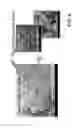 Fig. 09 - FABRICATION OF COLOR CONVERSION LAYER BY ADHESIVE TRANSFER METHOD