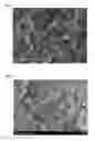 Fig. 02 - Cathode active material for secondary batteries and secondary battery including the same