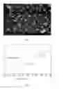 Fig. 02 - Aqueous binder for lithium ion battery, preparation method therefor and use thereof